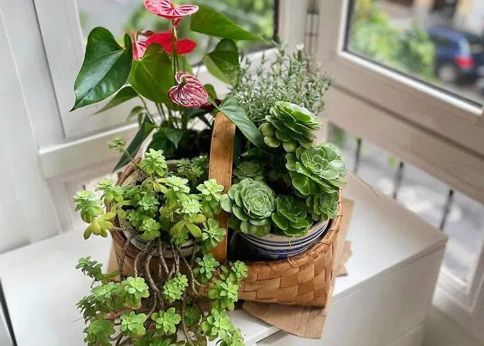 Апартаменты Loaina Бильбао