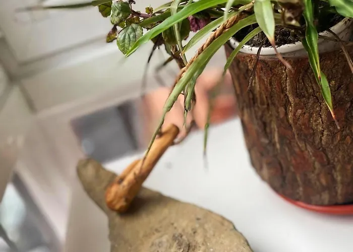 Loaina Бильбао