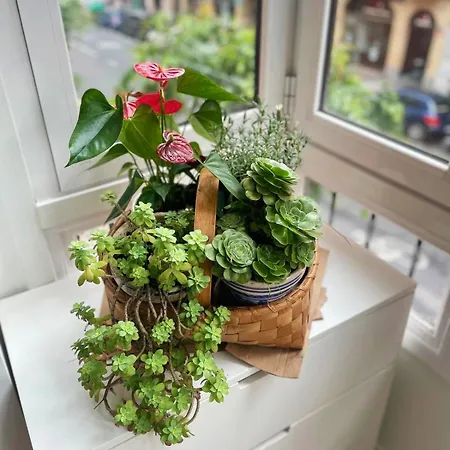 Apartman Loaina Bilbao