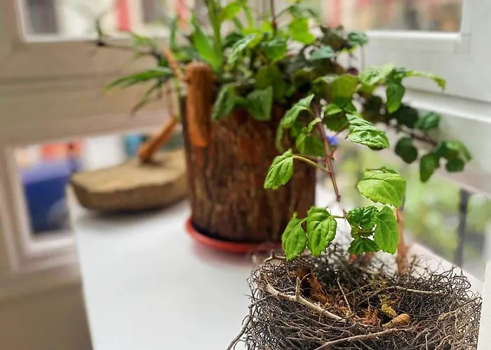 Lejlighed Loaina Bilbao